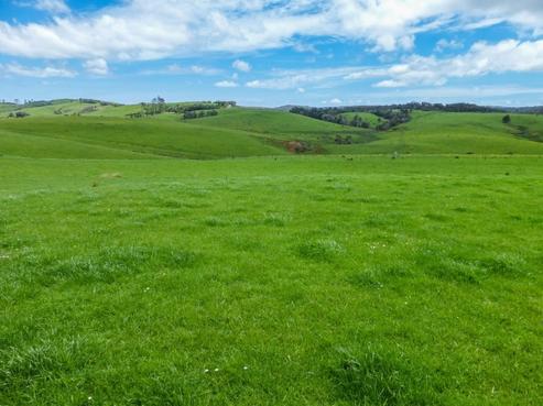 2097 Kaikohe Road, Dargaville Surrounds