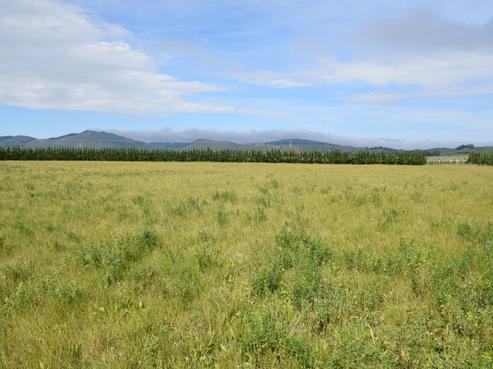 110 Purchas Road, Amberley