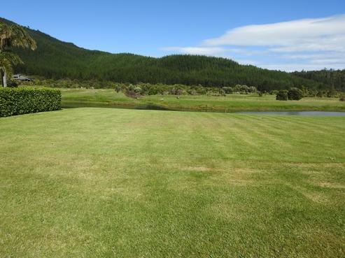 72 Saint Andrews Drive, Pauanui