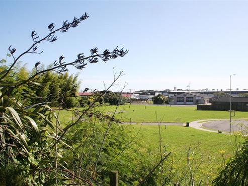 13 Nukuroa Close, Waitara