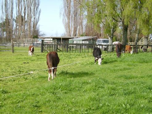 231 Tauranga Road, Matamata