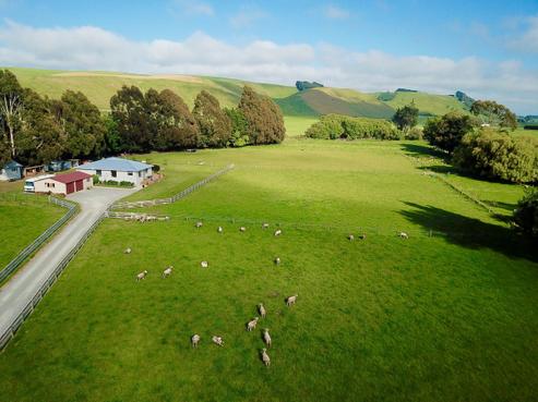 481 Hilderthorpe-pukeuri Road, Pukeuri