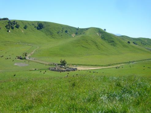 298 Hopelands Road, Woodville