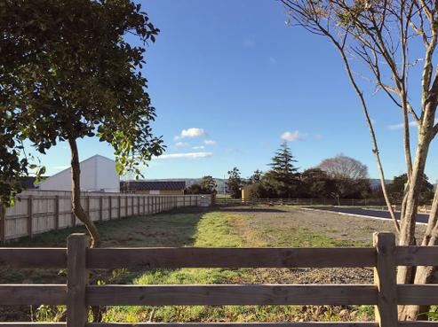 203 East Street, Greytown