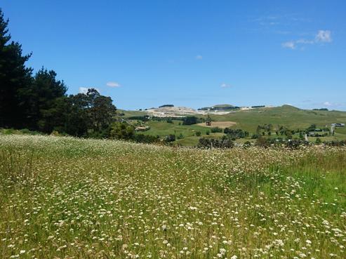 123 Valley View Road, Otaika