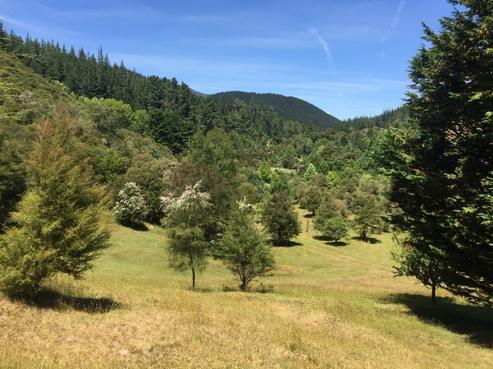179 Teal Valley Road, Hira
