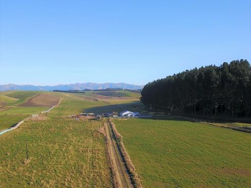 1482 Waimate Highway, Otaio