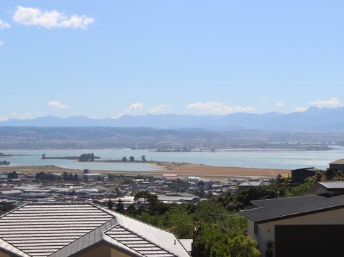 397 Princes Drive, Wakatu