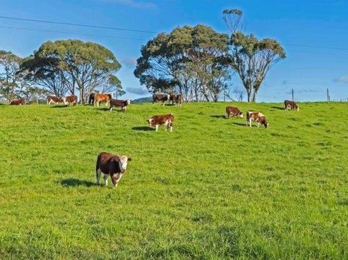 1046 South Head Road, South Head