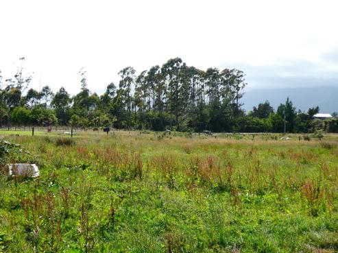 262 Utopia Road, Westport
