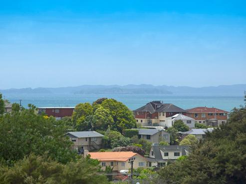 42 Elliston Crescent, Stanmore Bay