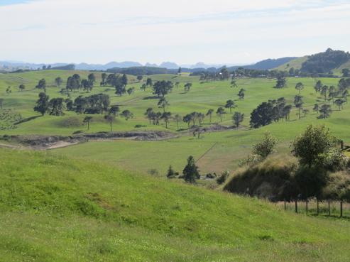 215 Forest Road, Oruanui