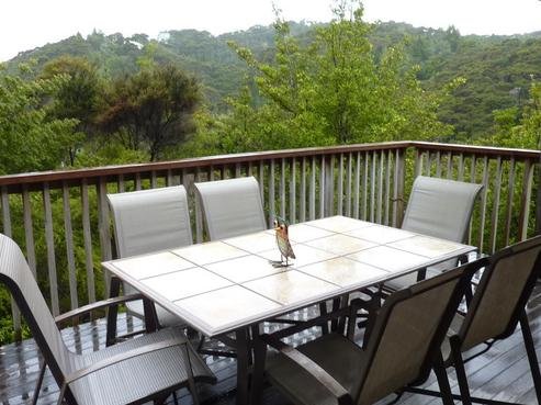 13 Ward Drive, Opua