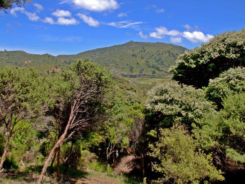 117 Aotea Road, Great Barrier Island