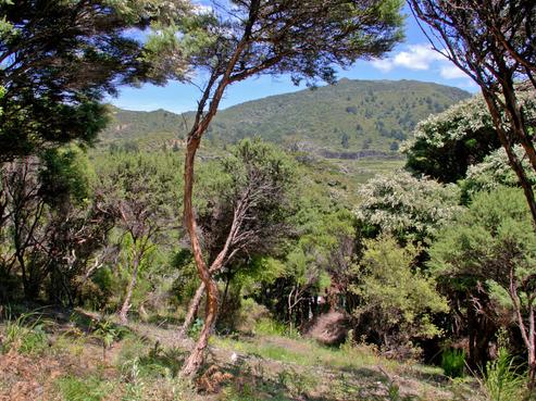 119 Aotea Road, Great Barrier Island