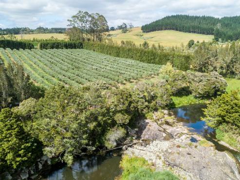 268 Puketotara Road, Kerikeri Surrounds