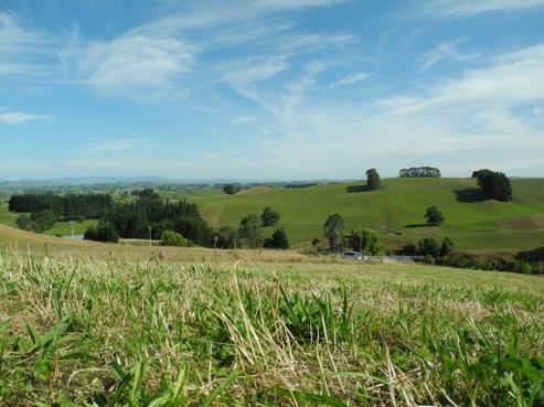 144 Te Tahi Road, Pirongia