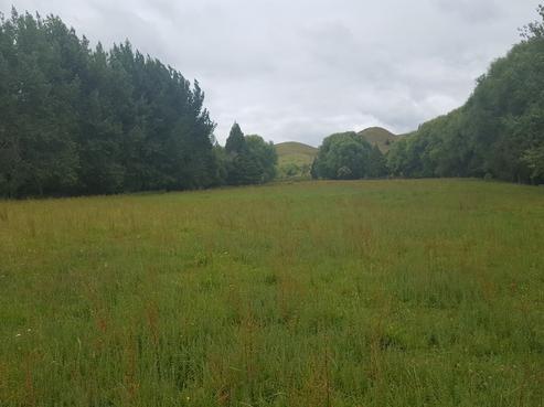 516B Duncan Road, Kaingaroa