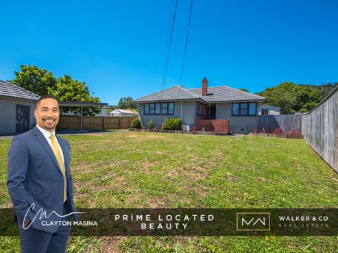 37 Seddon Street, Wallaceville
