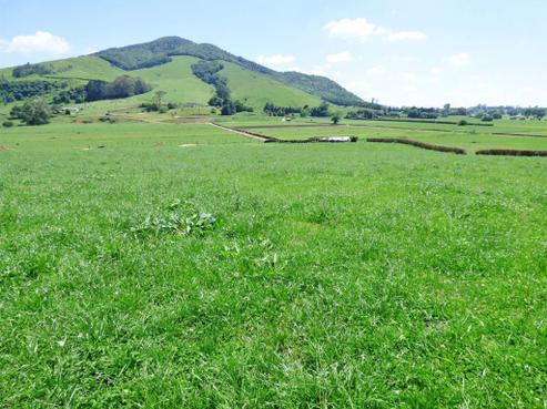 434 Kakepuku Road, Te Awamutu