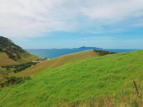 35D Taranga View Road, Mangawhai Heads