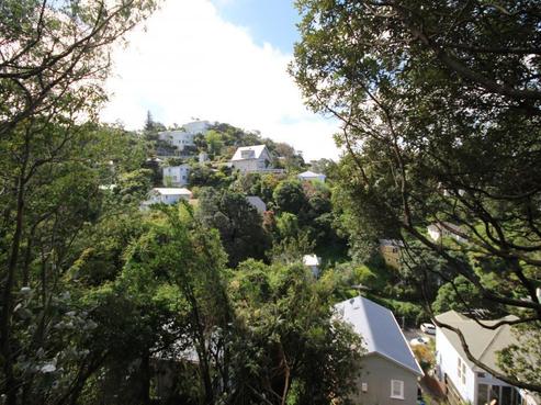 79 Raroa Road, Aro Valley
