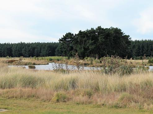 62 Te Kohanga Drive, Pegasus