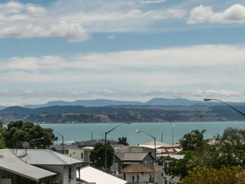 167 Shakespeare Road, Napier Hill