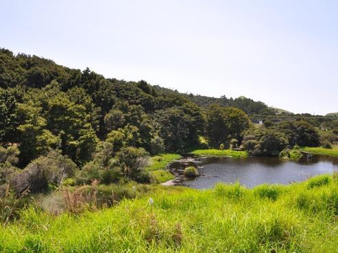 14 Woodleigh Lane, Mangawhai