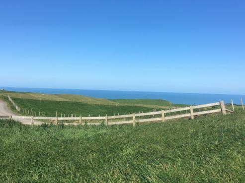 295 Hamilton Road, Awhitu