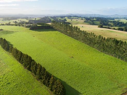 111B Signal Road, Okaihau