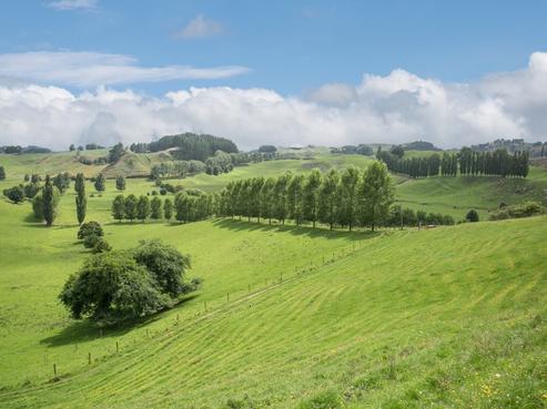 85 Veale Road, Otorohanga