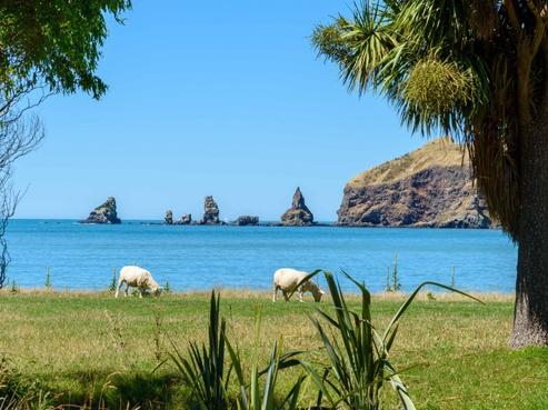 386 Decanter Bay Road, Little Akaloa