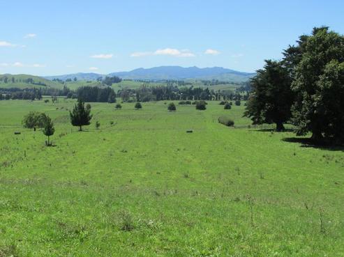 122 Happy Valley Road, Wharepapa South