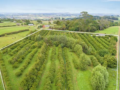 36 Nikau Road, Pokeno