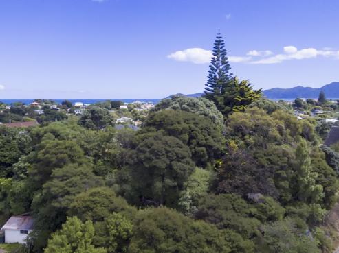 29 Tiromoana Road, Raumati South
