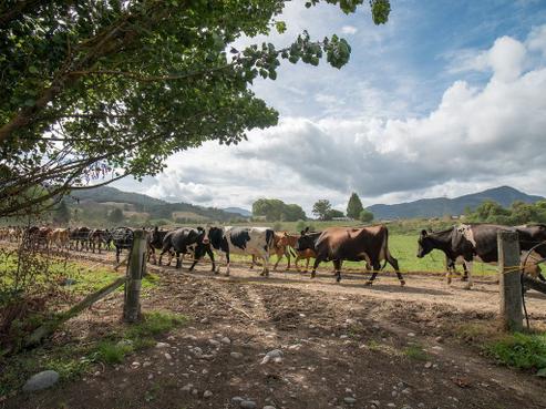 660 Matiri Valley Road, Murchison