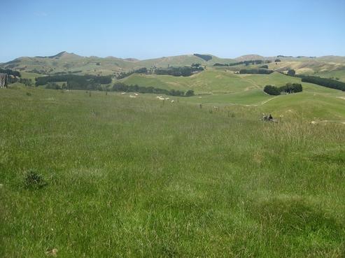 1344A Ngapaeruru Road, Dannevirke