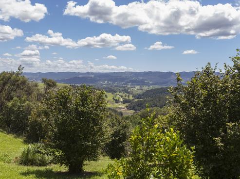 397 Wyllie Road, Warkworth