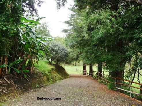 273 Takahue Road, Kaitaia
