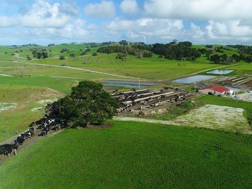 481 Arapohue Road, Dargaville