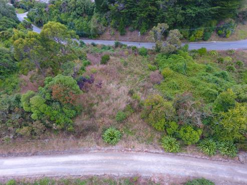 16 Tenby Street, Moeraki