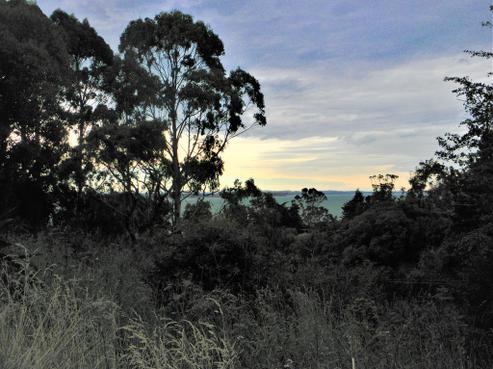 12 Tenby Street, Moeraki