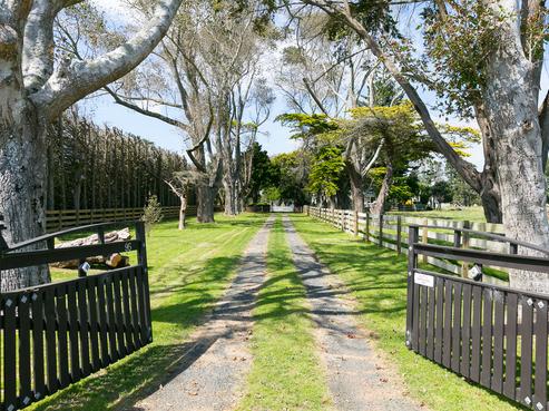 95 Raleigh Street, Waitara