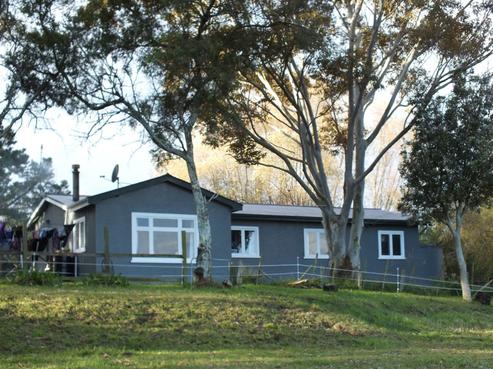 181 Rangiotu Road, Himatangi