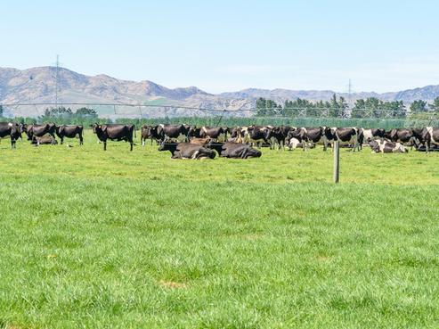 202 Mouse Point Road, Culverden