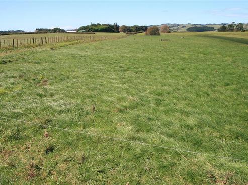 465 Ohanga Road, Onaero
