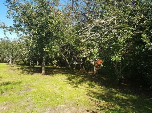 22 Cadman Street, Waikino