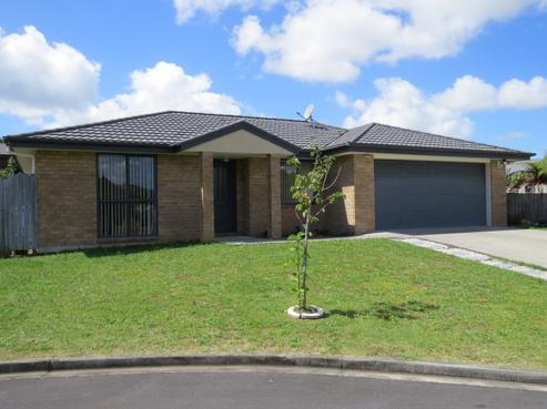 3 Valley Fields Place, Pukekohe