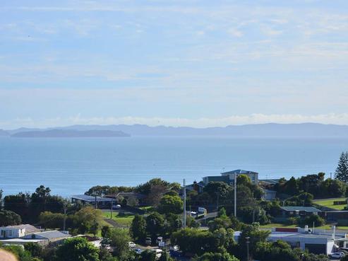 17 Woodridge Drive, Stanmore Bay